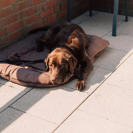 Finnhuetten Apartmán *