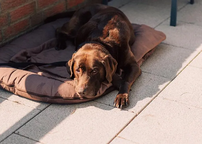 Finnhütten Apartamento *